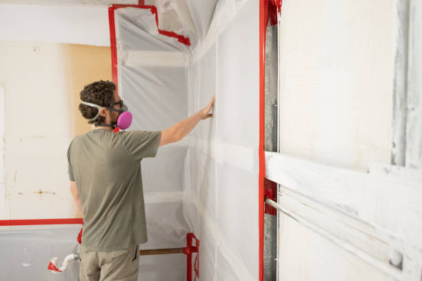 Best Mold Prevention Services  in Layton, UT