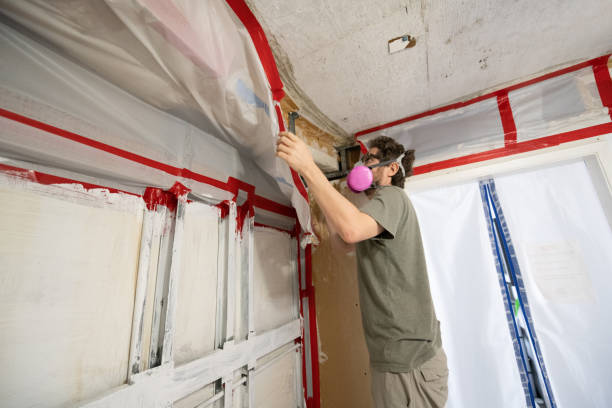 Mold Remediation for Rental Properties in Layton, UT