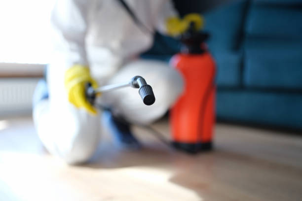 Best Mold Remediation for Vacation Homes  in Layton, UT