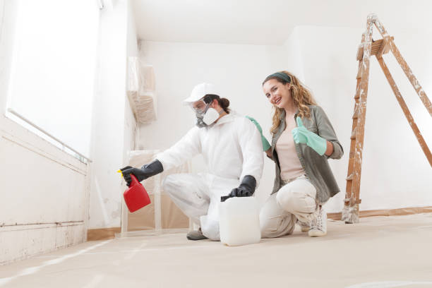 Mold Remediation for Vacation Homes in Layton, UT